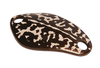 BS02