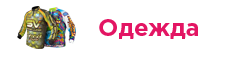 Одежда